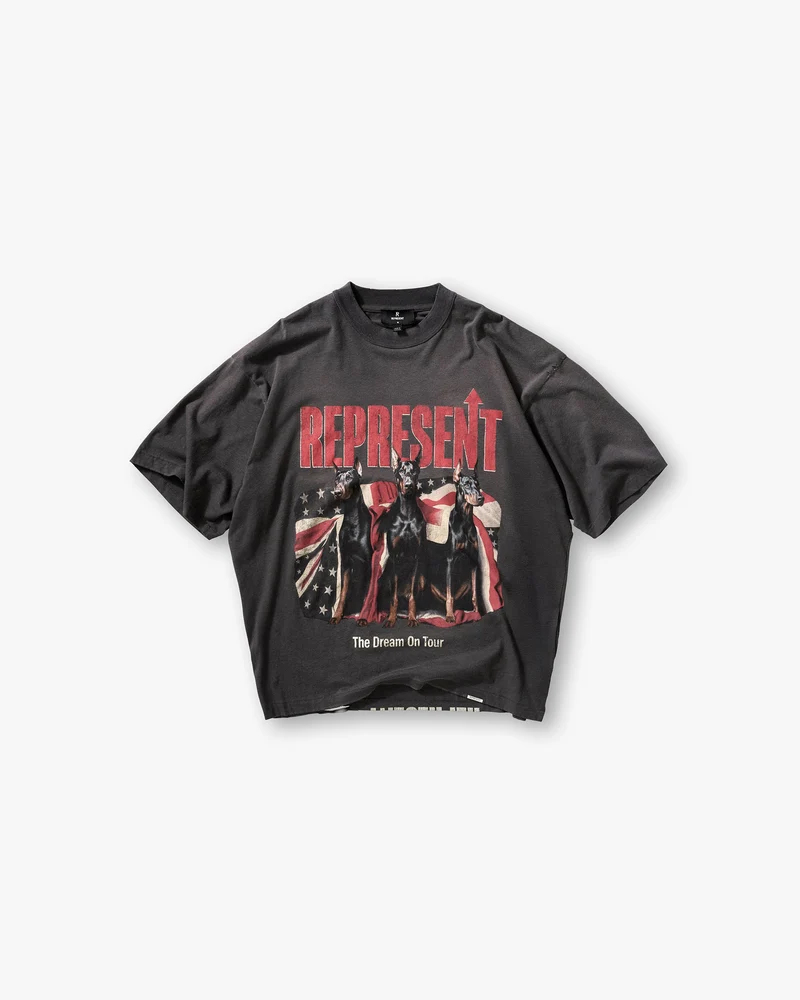 Dream On Tour T-Shirt - Sun Fade Grey