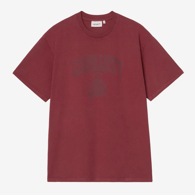 Carhartt WIP Herr T-shirt med bleknad Pond Corps-motiv | Marsala