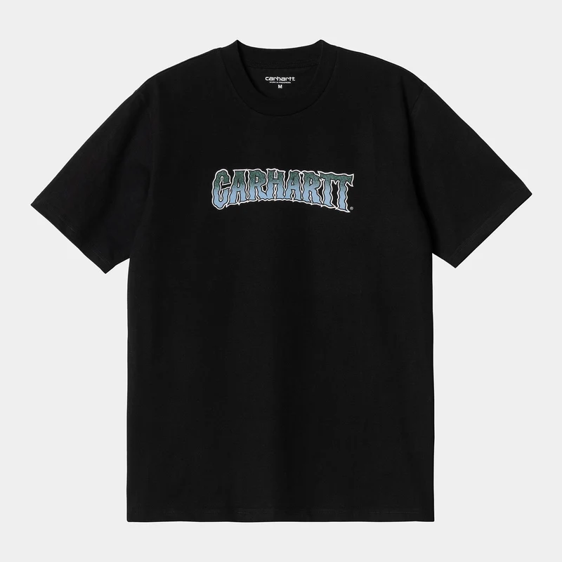 Carhartt WIP Slow Script kortärmad ekologisk T-shirt för män - Svart