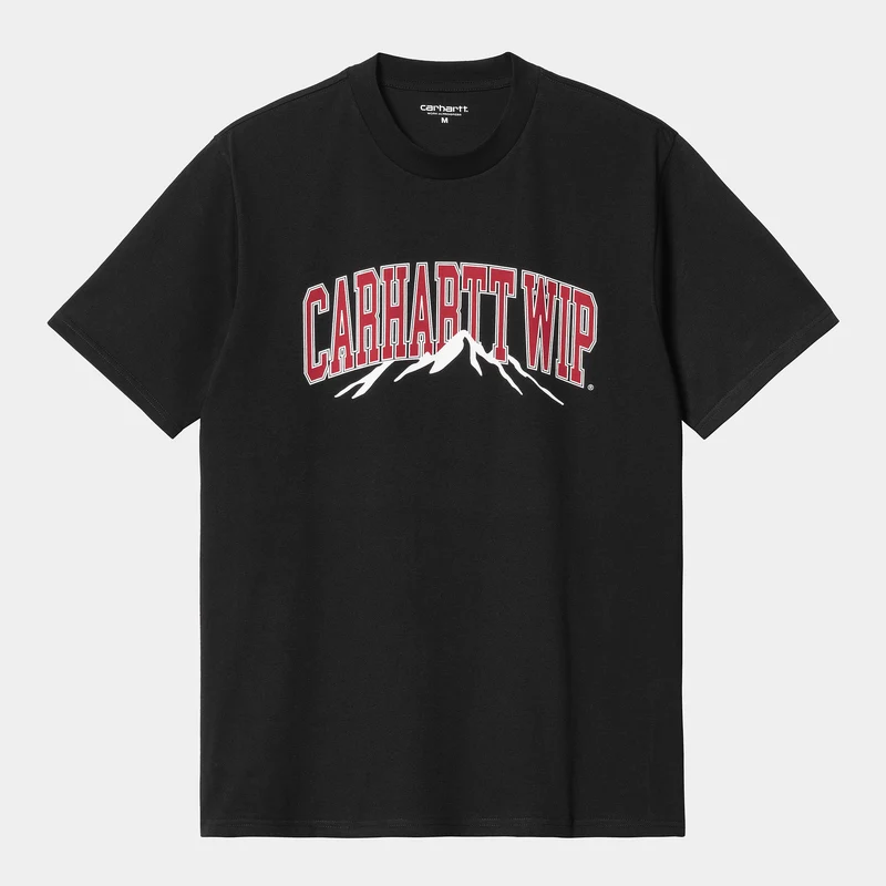 Carhartt WIP Mountain College T-shirt för män - Svart