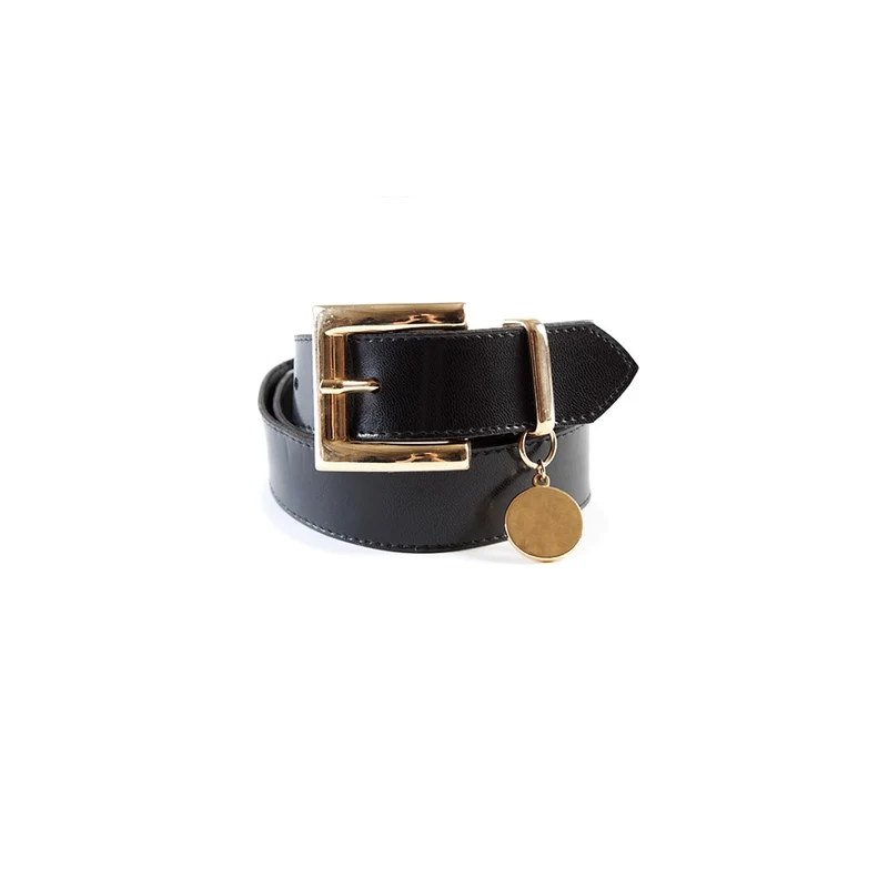 Tagged Belt