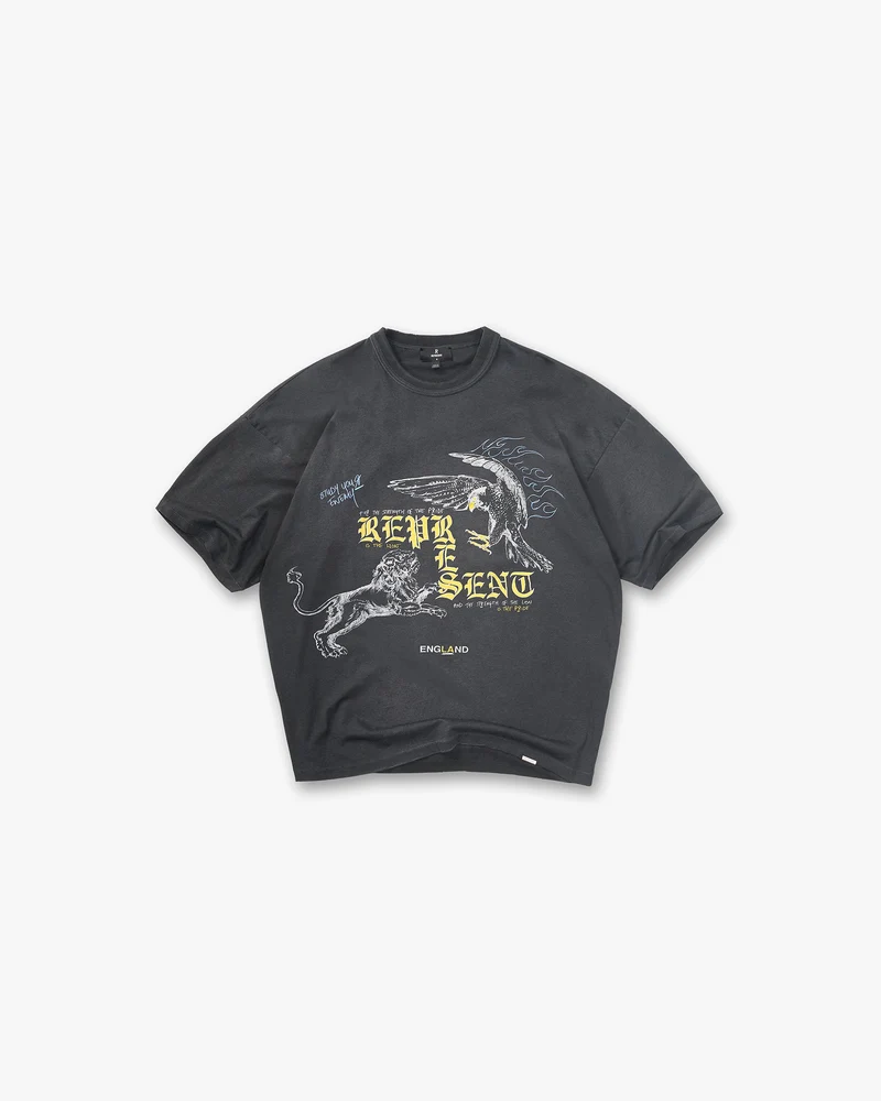Enemy T-Shirt - Washed Black