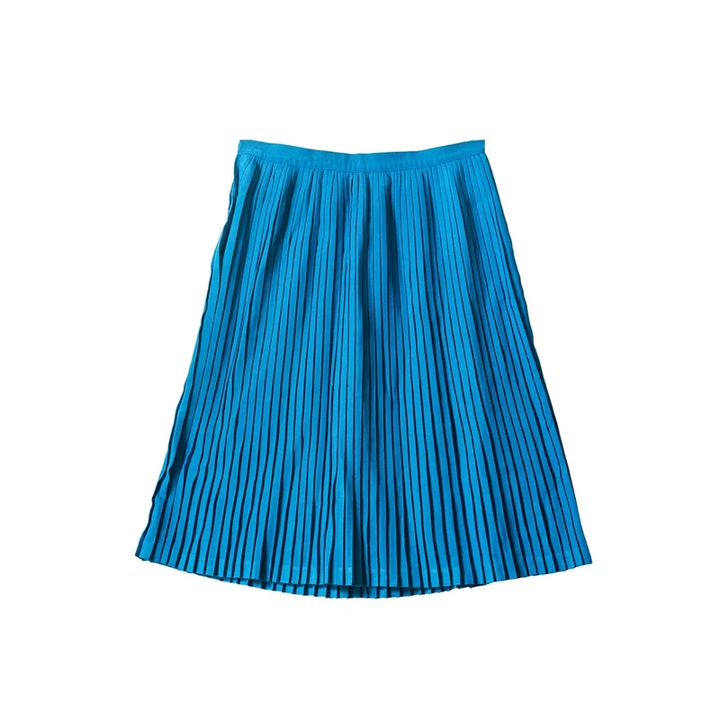 Blue Pleated Skirt
