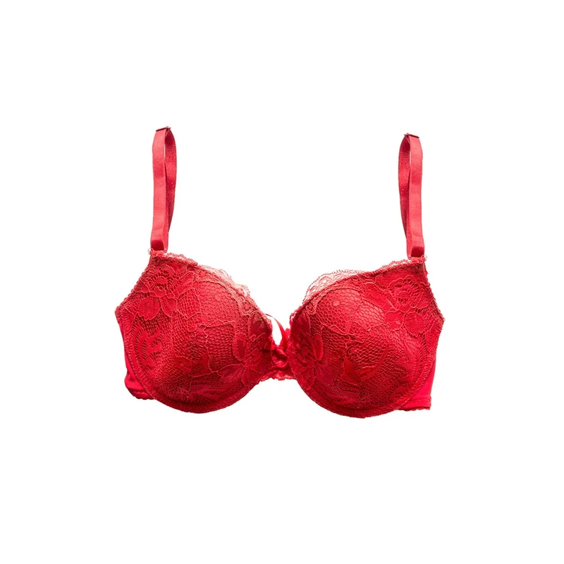 Red Lace Bra
