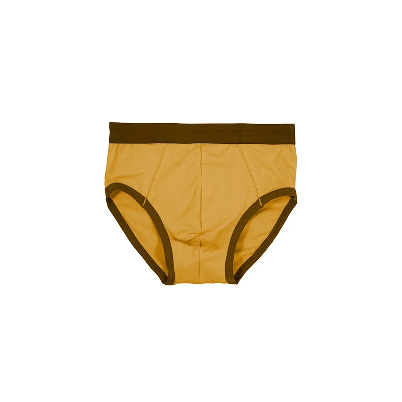 Snug Fit Briefs