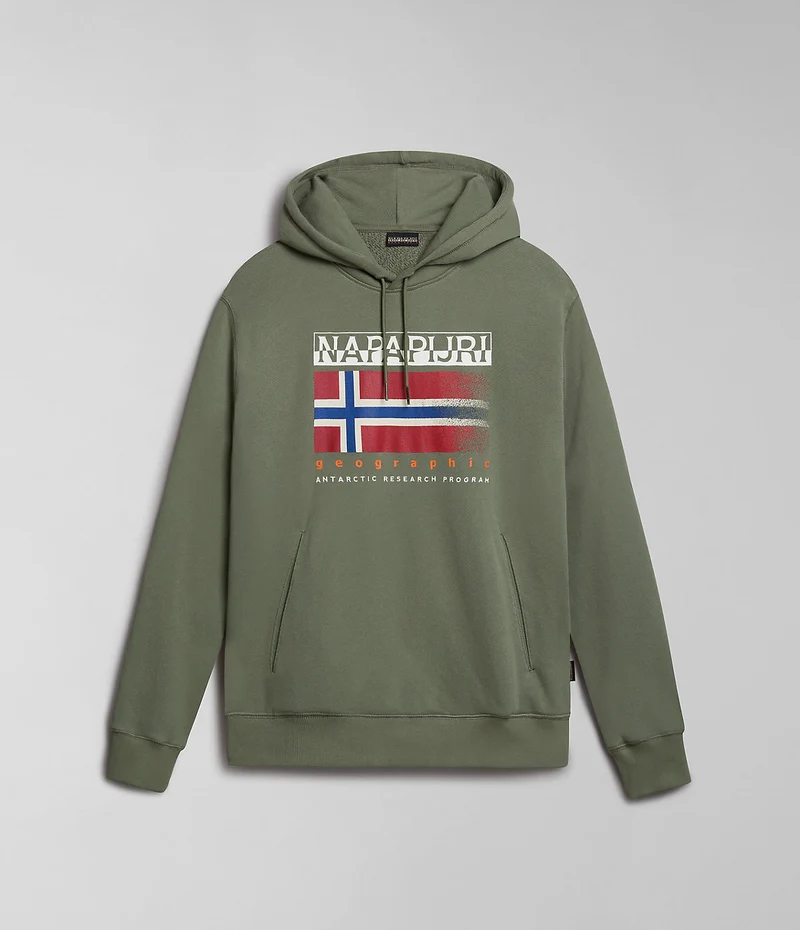 Napapijri Herr Kreis Hoodie - Grön