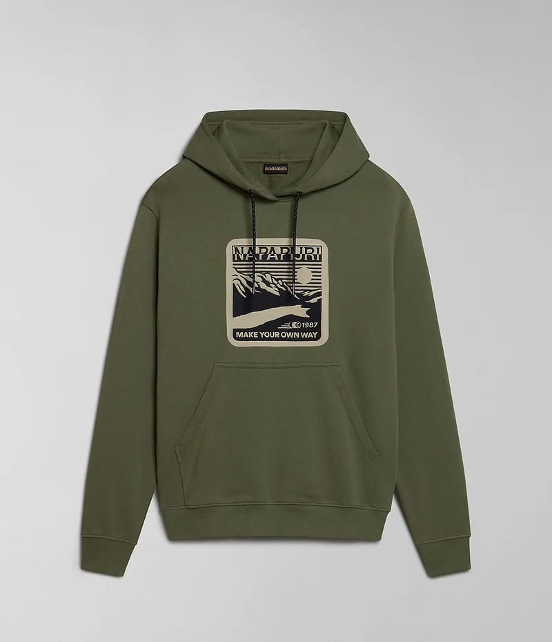 Napapijri Herr Boyd Hoodie - Grön
