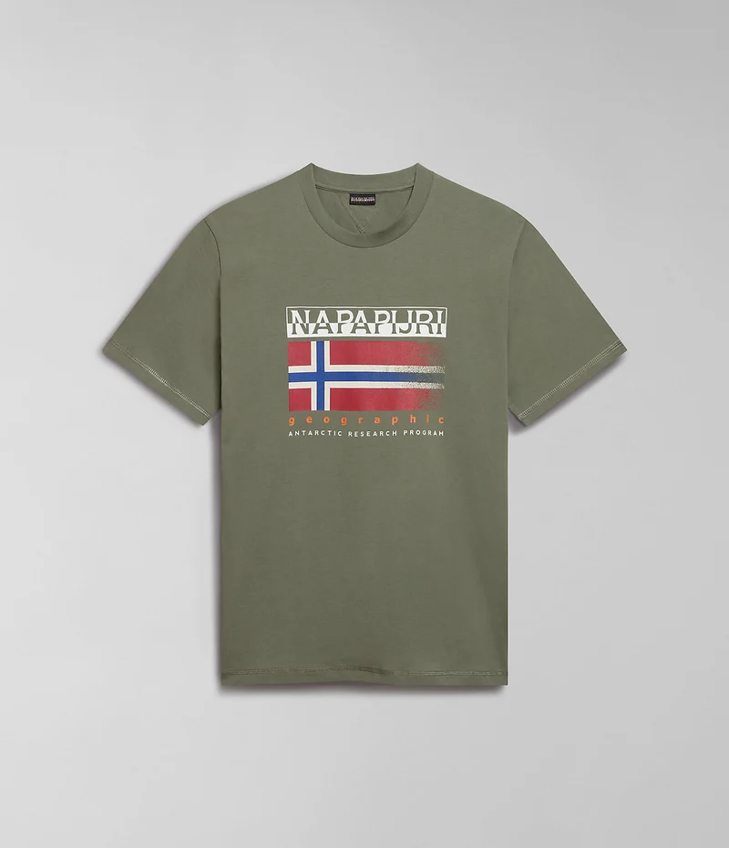 Napapijri Herr Kreis T-shirt - Grön Lav