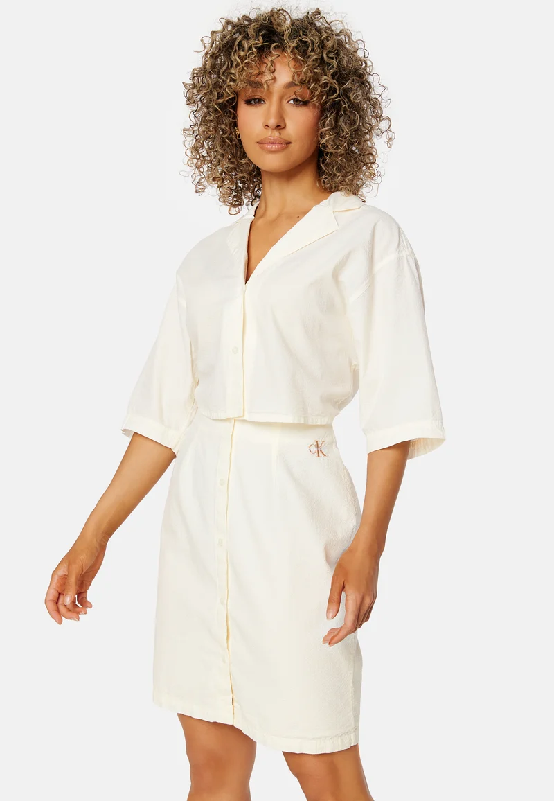 Short Sleeves Seersucker Dress
