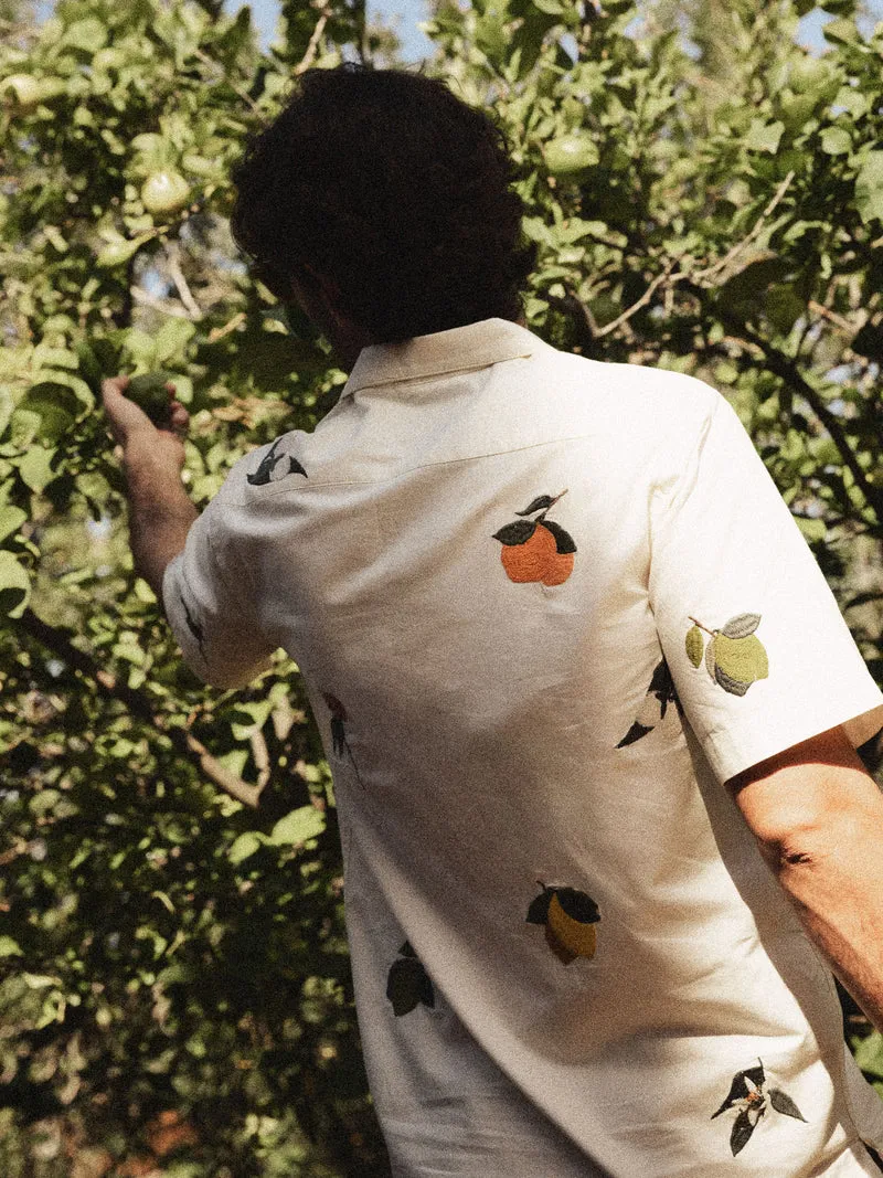 MMGBabel Agrumi Shirt