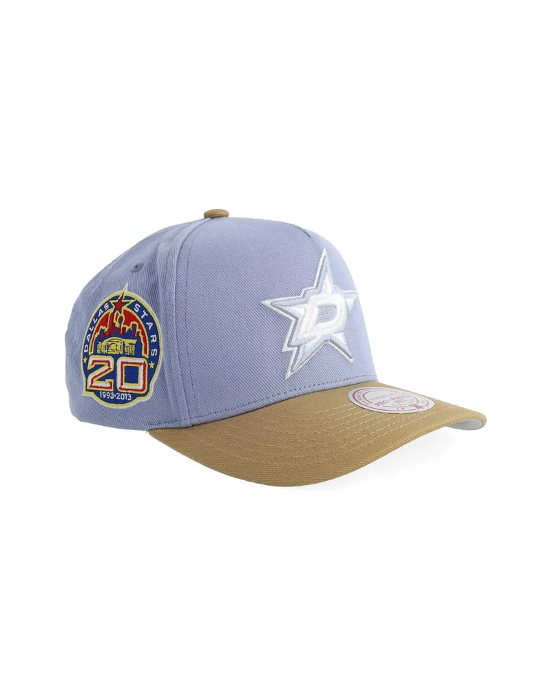NHL Frosted Peak Dallas Stars Keps