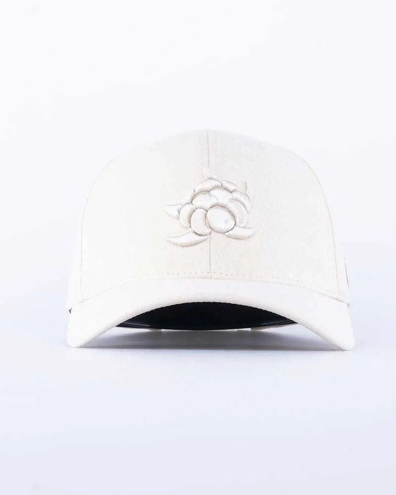Cloudberry Big 120 Keps